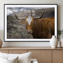 Texas Longhorn Canvas Wall Art - Longhorn Steer Canvas Wall