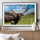 Longhorn and Cow Wall Art, Country Cow Wall Decor Canvas by MyGreatCanvas | Canvas Wall Art Prints | Photo Prints & Wall Decor