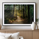 Natural Landscape Wall Art Relaxing Forest Canvas Print