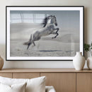 Prancing Horse Desert Large Wall Art Canvas Print – Majestic
