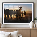 Horse Herd Wall Art Animal Canvas Print