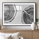 Abstract Large Tree Rings – Minimalist Black and White Wood