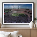 South Carolina Gamecocks Football Team Print - Columbia