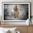 Jaguar Wall Art Canvas Print - Majestic Big Cat in Focused by MyGreatCanvas | Canvas Wall Art Prints | Photo Prints & Wall Decor