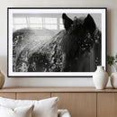 Black Horse in Snow Canvas Print | Winter Horse Wall Art |