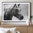 Horse Canvas Print - Winter Horse Snow Wall Art Canvas Print