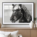 Framed Black and White Horse Wall Art | Ready to Hang and by MyGreatCanvas | Canvas Wall Art Prints | Photo Prints & Wall Decor