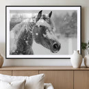 Black Horse Winter Wall Art | Ready to Hang and Framed |