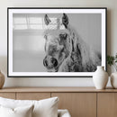 White Horse Wall Art | Ready to Hang and Framed | Winter