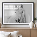 Majestic White Horse Wall Art | Ready to Hang and Framed |