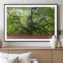 Framed Angel Oak Tree Wall Art - 3-Panel Canvas Prints,