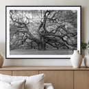 Black White Angel Oak Tree Wall Art - Timeless