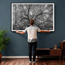 Majestic Angel Oak Tree Black and White Canvas Print – Multi