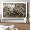 Sepia Framed Angel Oak Tree Wall Art - 3-Panel Canvas