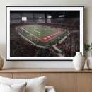Houston Cougars Football Team Print - Houston TDECU Stadium