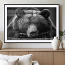 Resting Grizzly 399 Bear Canvas Print | Ready to Hang Wall