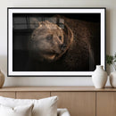 Wild Grizzly 399 Bear Canvas Wall Art Print, Bear Animal by MyGreatCanvas | Canvas Wall Art Prints | Photo Prints & Wall Decor