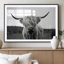 Highland Cow Wall Art | Black and White Farmhouse Decor |