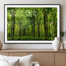 Lush Green Forest Canvas Print | 3-Panel Forest Wall Art | by MyGreatCanvas | Canvas Wall Art Prints | Photo Prints & Wall Decor