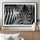 Zebra Wall Art – Zebra Close Up Wall Art – Framed Black by MyGreatCanvas | Canvas Wall Art Prints | Photo Prints & Wall Decor