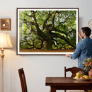 Angel Oak Tree Wall Art Canvas Print | Forest Tree Nature