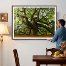 Angel Oak Tree Wall Art Canvas Print | Forest Tree Nature