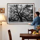 Black and White Old Angel Oak Tree Wall Art Canvas Print