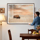 MyCanvas -