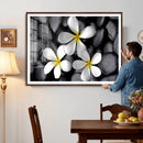Plumeria Frangipani Black Stone Canvas | White Flower Spa by MyGreatCanvas | Canvas Wall Art Prints | Photo Prints & Wall Decor