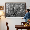 Majestic Angel Oak Tree Black and White Canvas Print – Multi