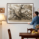 Sepia Framed Angel Oak Tree Wall Art - 3-Panel Canvas