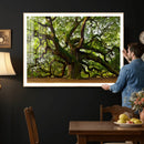 Angel Oak Tree Wall Art Canvas Print | Forest Tree Nature