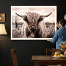Scottish Cow Longhorn Wall Art Canvas Print