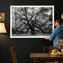 Black and White Old Angel Oak Tree Wall Art Canvas Print by MyGreatCanvas | Canvas Wall Art Prints | Photo Prints & Wall Decor