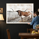 Vintage Texas Cow Wall Art Canvas Print, Rustic Longhorn
