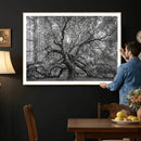 Majestic Angel Oak Tree Black and White Canvas Print – Multi by MyGreatCanvas | Canvas Wall Art Prints | Photo Prints & Wall Decor
