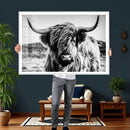 Black and White Scottish Cow Canvas Wall Art Highland Cattle