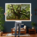 Angel Oak Tree Wall Art Canvas Print | Forest Tree Nature