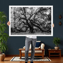 Black and White Old Angel Oak Tree Wall Art Canvas Print