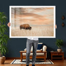 MyCanvas -