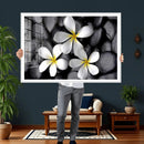 Plumeria Frangipani Black Stone Canvas | White Flower Spa by MyGreatCanvas | Canvas Wall Art Prints | Photo Prints & Wall Decor