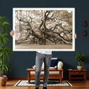 Sepia Framed Angel Oak Tree Wall Art - 3-Panel Canvas