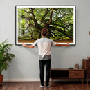 Angel Oak Tree Wall Art Canvas Print | Forest Tree Nature