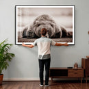 Grizzly Bear Wall Art Print - Bear Canvas Wall Art - Rustic