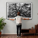 Black and White Old Angel Oak Tree Wall Art Canvas Print