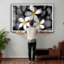 Plumeria Frangipani Black Stone Canvas | White Flower Spa by MyGreatCanvas | Canvas Wall Art Prints | Photo Prints & Wall Decor