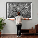 Majestic Angel Oak Tree Black and White Canvas Print – Multi