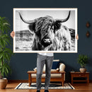 Black and White Scottish Cow Canvas Wall Art Highland Cattle