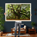 Angel Oak Tree Wall Art Canvas Print | Forest Tree Nature