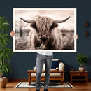 Scottish Cow Longhorn Wall Art Canvas Print